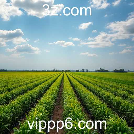 A Ascensão do PP6: Uma Nova Era nos Jogos Online